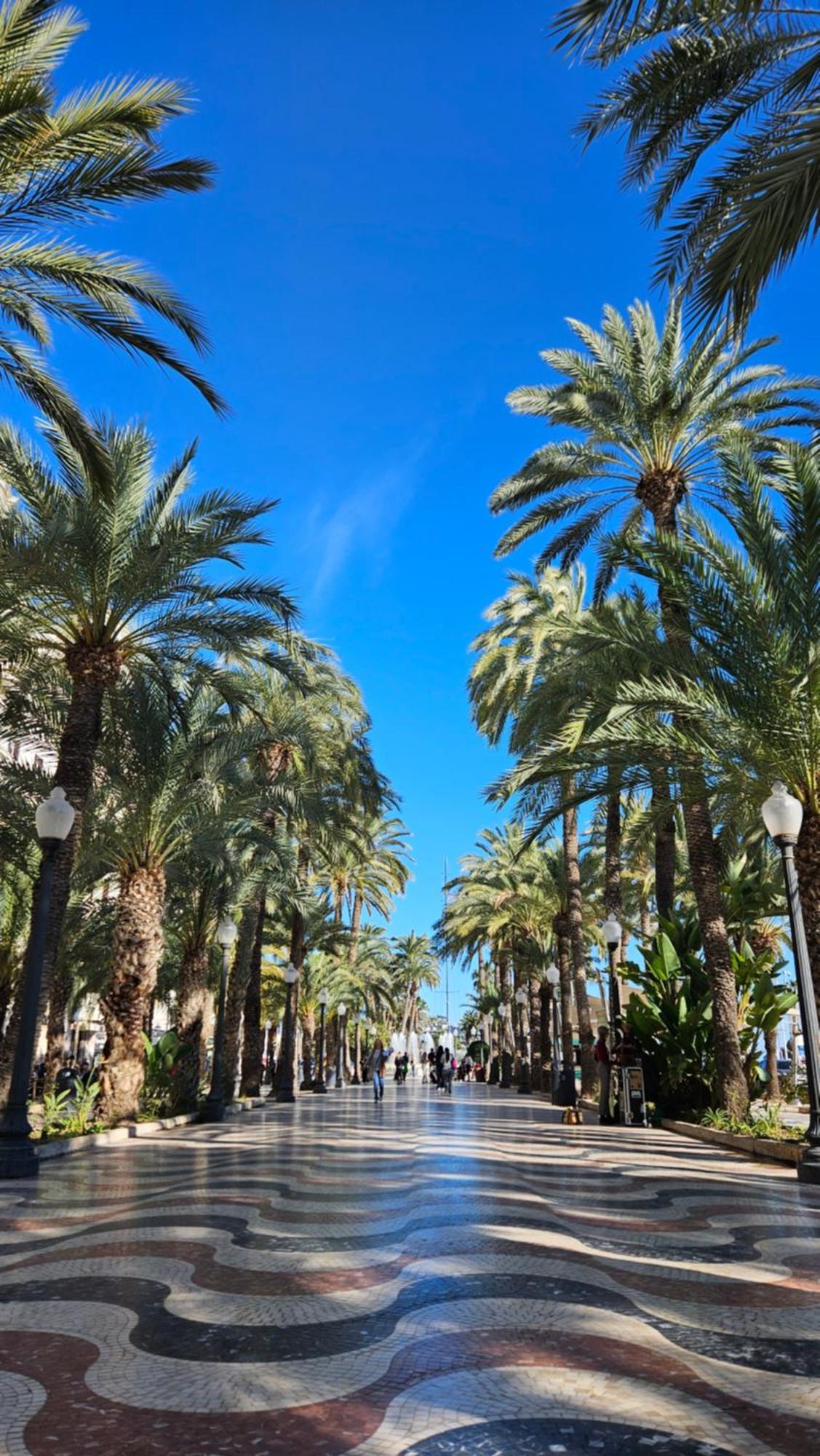 Appartamento Your In Alicante